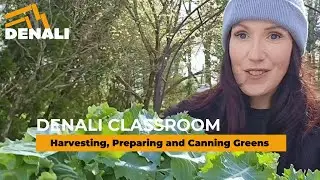 Unbelievable Results: Harvesting and Canning Greens Made Easy!