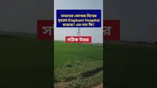 world largest elephant hospital 