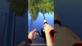 Russian Fishing 4 