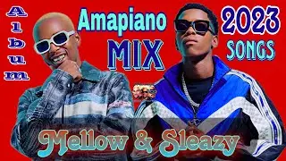 Mellow & Sleazy 2023/2024 new songs/album | Mellow & Sleazy Amapiano Mix 2023/2024