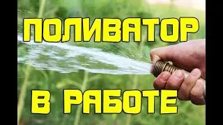 Полив, мастер класс