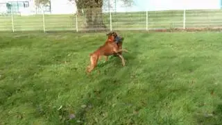 urko et bao en balade.wmv
