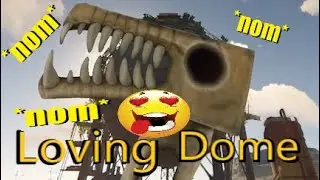 I Lived at Dome Solo