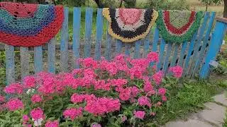 Песня которая Растопит ваше Сердце 💗Ночь проходит, а я у порога!!