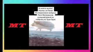 Тик Ток Сбежал Со Школы | Мемы и Приколы Tik Tok #51