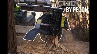 Introducing Stumper by Fecon!