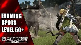 Level 50 Farm Spots für Anfänger -  Black Desert Online