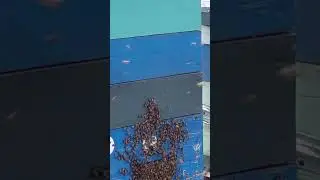 14 июля 2024 г.