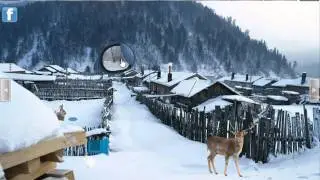 north pole forest escape video walkthrough