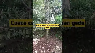 #reel #reels #reelsvideo #shortvideo #shortsvideo