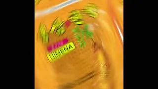 наш ассортимент