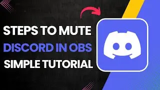 Steps To Mute Discord In OBS