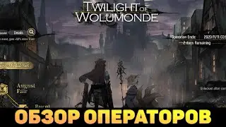Обзор операторов Twilight of Wolumonde / Arknights