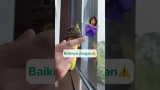 Boleh/Gak Boleh Cowok Cukur Bulu Bawah Sampai Habis?