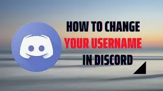 How to Change Your Username in Discord? 