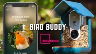 BIRD BUDDY: THE SMART BIRD FEEDER THAT CAPTURES PHOTOS | Indiegogo | Gizmo Hub