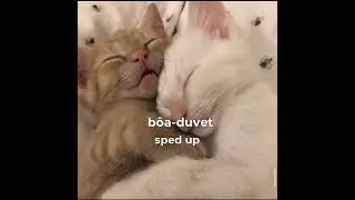 bôa-duvet sped up