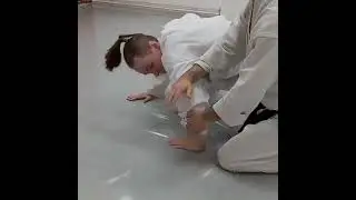 Упражнение на коленях из Айкидо.