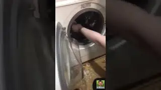 Кроссовки после стирки😅