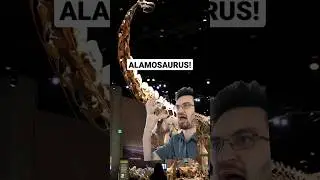 Alamosaurus! 