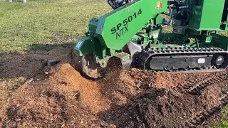 Stump Removal in Crown Point, Indiana