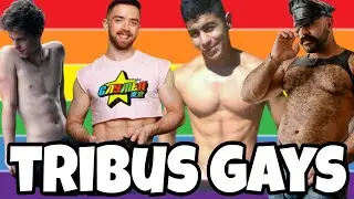 LAS TRIBUS GAYS 🏳️‍🌈