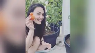 Actress Preity Zinta Plucking tomato, capsicum From Her Garden | #PreityZinta |  leaf media