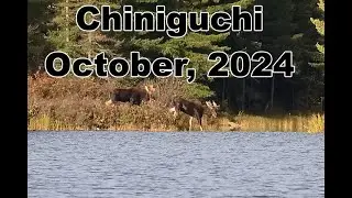 Chiniguchi Prov. Park Oct 2024
