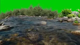 suara air dan burung di alam liar green screen