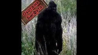 Охотимся на Бигфута!