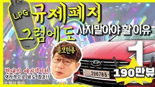 규제 폐지에도 신형 쏘나타 LPG 사지 말아야 하나?...역사는 되풀이 된다