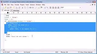 Beginner PHP Tutorial   8   Indentation computer  tips and triks pro