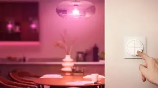 Philips Hue Tap Dial Switch Review (dutch)