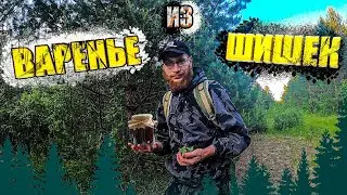 Собираю и варю варенье из СОСНОВЫХ ШИШЕК! Выживание в лесу!