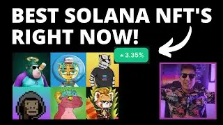 BEST SOLANA NFT'S IN THIS BEAR MARKET! (CLAYNOSAURZ, ABC)