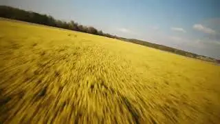 Some FPV