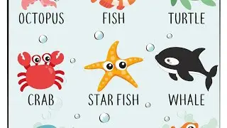 Water animals name//sea animals जलीय जीवों के नाम