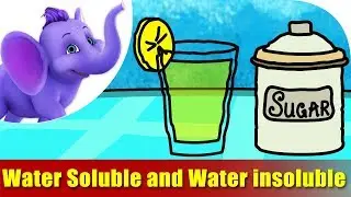 Water Soluble and Water Insoluble | Songs on Learning Science | 4K | Appu Series