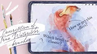 Description of ‘True Watercolor” brushes - How to use digital Procreate brushes on Ipad