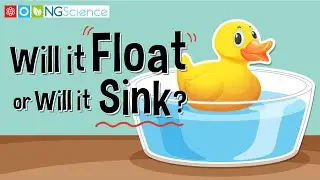 Will it Float or Will it Sink?