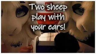 [Furry ASMR] Two sheep play with your ears (Tapping, petting, mouth sounds)