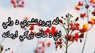 له پوره نشوي د ولي اي د مات زړګي ارمانه #1millionsubscribers #مولوي_عبدالصمد_صمیم #afghanarmy