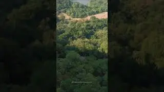 #simplymotion #dji #footage #colima