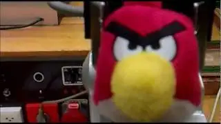 Angry Birds Robot karral