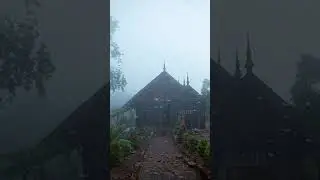 Rain.
