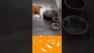 Сегодня не ешь 