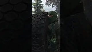 Я НЕСУ РАДОСТЬ #dayzstalkerrp #dayz #stalker #shorts