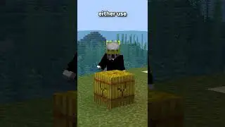 minecraft mgl's are weird