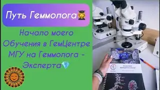 Немного о том, как я Прохожу обучение на Геммолога-Эксперта в ГемЦентре МГУ👩‍🎓