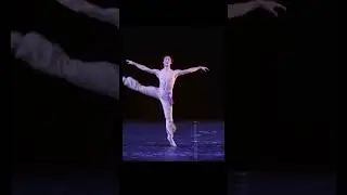 Takumi Miyake Amazing  Le Corsaire 